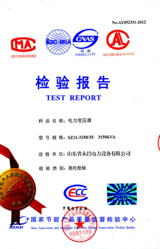 辽源电力变压器检测报告